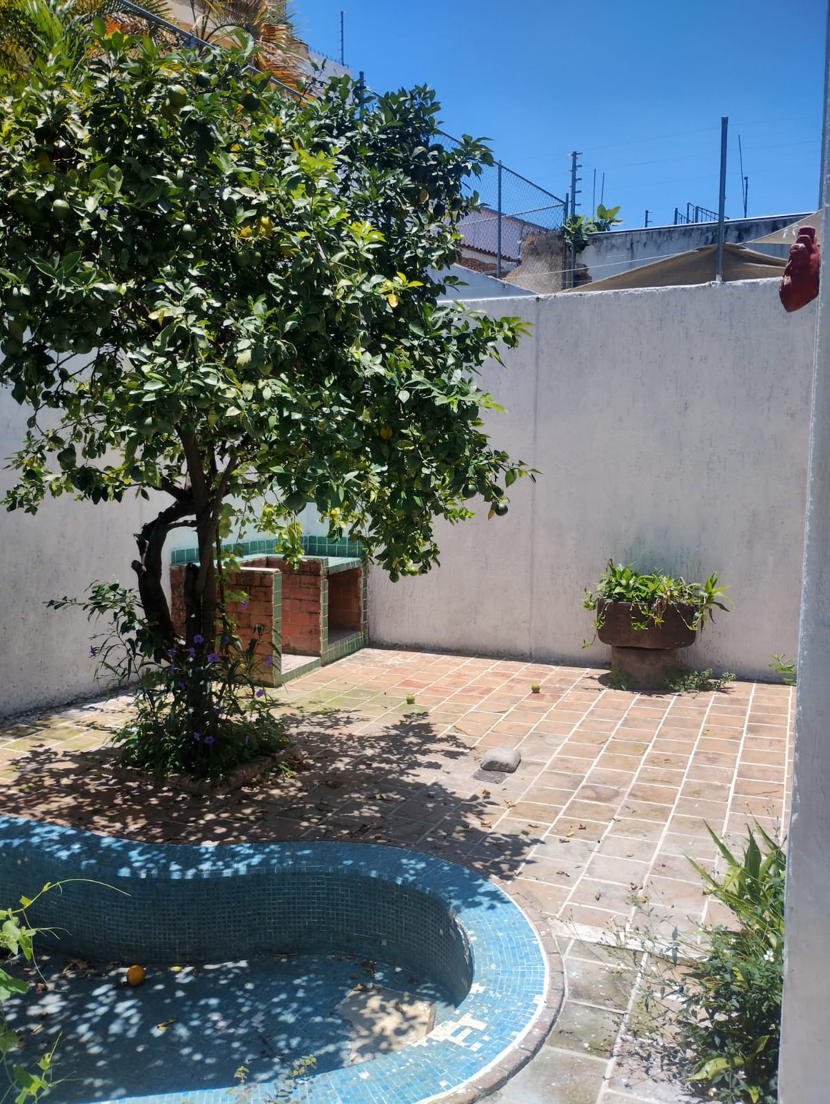 Foto 17