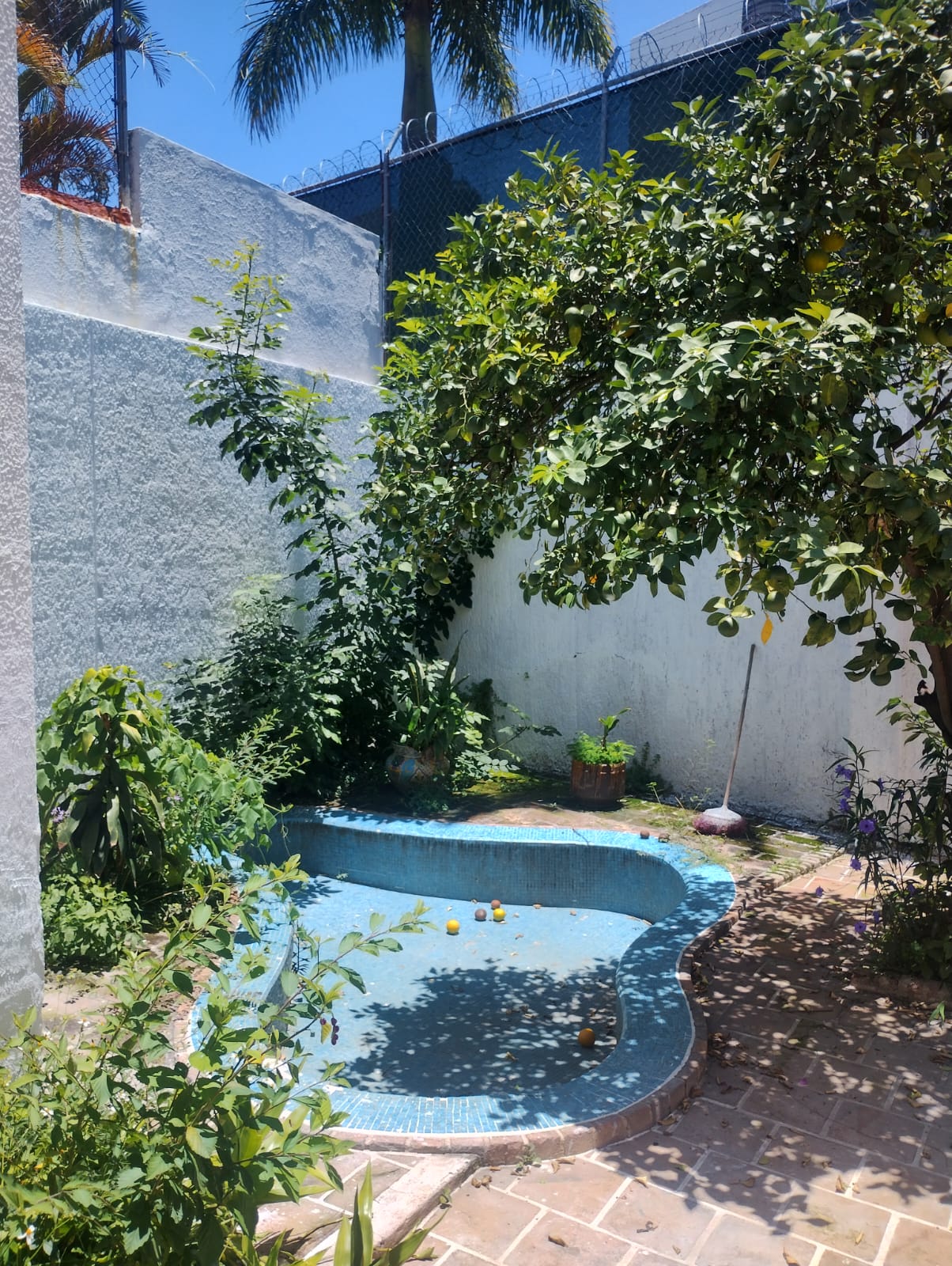 Foto 19