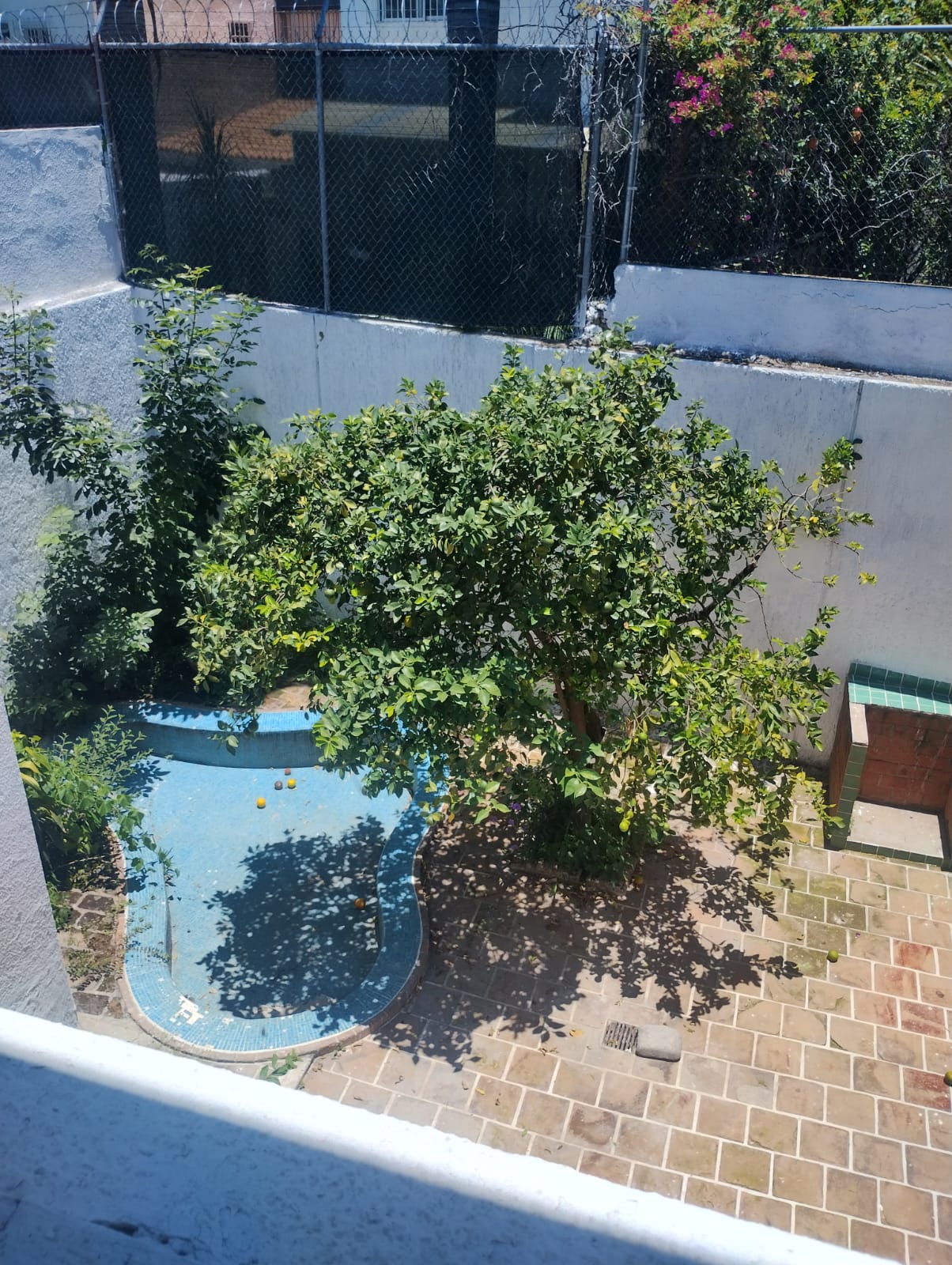 Foto 33