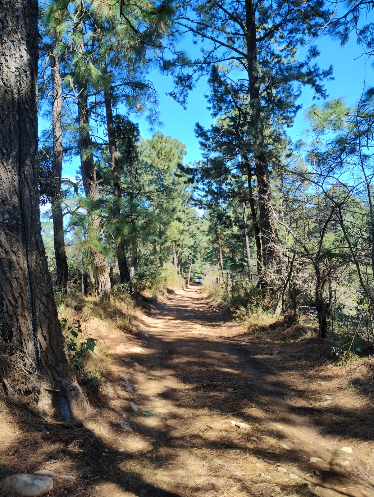 Terreno Campestreen Juanacatlán, Tapalpa