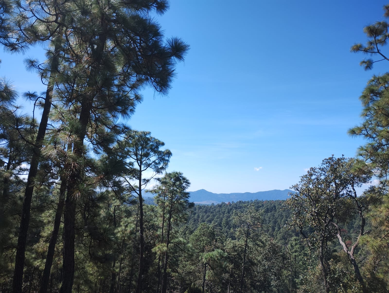 Terreno en Juanacatlán, Tapalpa
